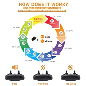 Pop View How Does It Work Chart