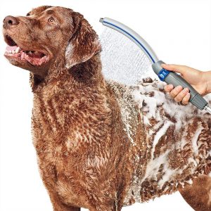 Waterpik PPR-252 Pet Wand Pro dog Shower