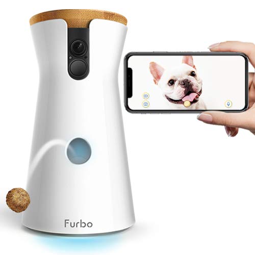 camera that dispenses dog treats