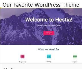 Step 4 We Use the WordPress Theme Hestia For Our WedPress Website