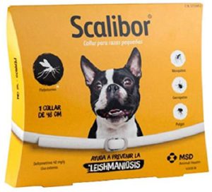 Best Dog Flea Collars - Intervet Scalibor Flea Tick Collar