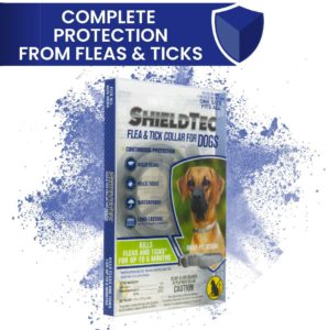 Best Dog Flea Collars - ShieldTec Flea Tick Collar