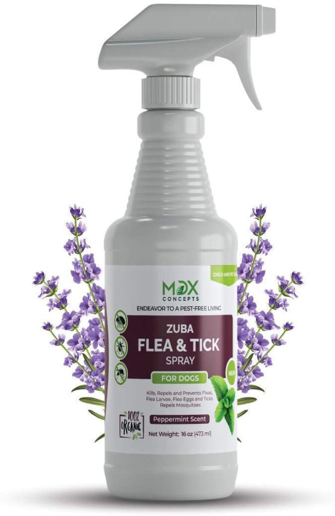 pet friendly flea spray for home