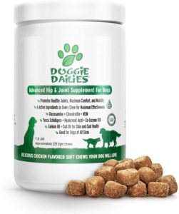 Best Dog Vitamin Supplements - Doggie Dailies Hip and Joint Supplement