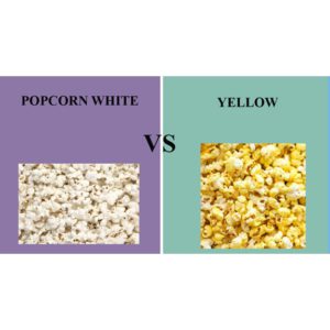 White Vs Yellow Popcorn