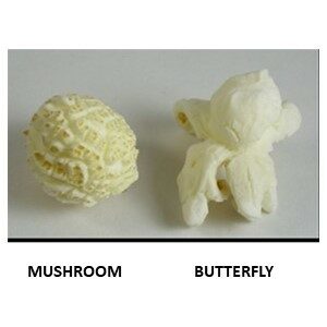 Mushroom Butterfly Popcorn Pictured