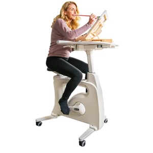 TikTok Bikd 
Desk Chair White